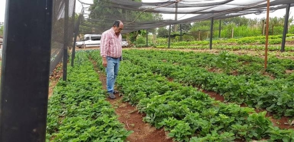 Diario HOY | Productores invitan a candidatos municipales a adherirse a las necesidades del sector