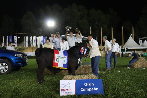 Ganadera Arandu dominó en la pista Brangus con el Gran Campeón en machos y hembras