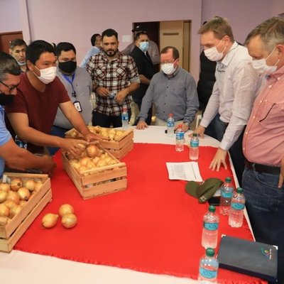 Productores de La Colmena acuerdan comercialización directa de cebolla en supermercados - .::Agencia IP::.