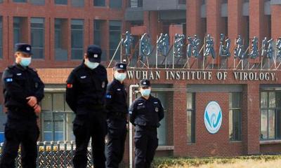 Nuevos documentos revelaron que el laboratorio de Wuhan planeaba mejorar los virus de los murciélagos para estudiar los riesgos en los humanos – Prensa 5