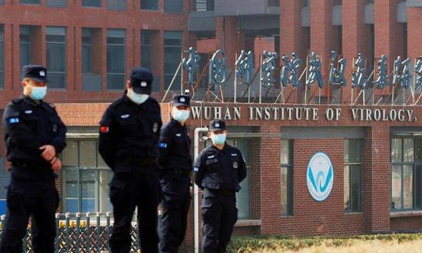 Nuevos documentos revelaron que el laboratorio de Wuhan planeaba mejorar los virus de los murciélagos para estudiar los riesgos en los humanos – Prensa 5