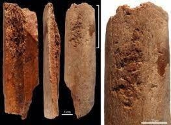 Diario HOY | Halladas en Marruecos las herramientas óseas para coser más antiguas del mundo