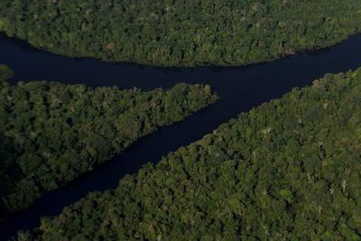 Ecologistas atacan proyecto económico que sacrifica medioambiente en Brasil - Mundo - ABC Color