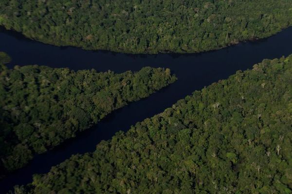 Ecologistas atacan proyecto económico que sacrifica medioambiente en Brasil - Mundo - ABC Color