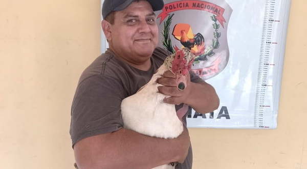 Final Felíz: Pato que fue robado se salvó de ser caldo y volvió a su casa - Noticiero Paraguay