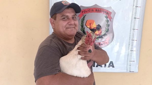 Un hombre recupera a su pato tras detención de presuntos ladrones