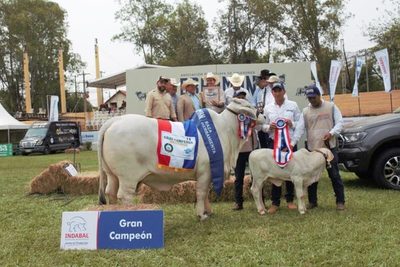 En la pista Brahman, Ganadera El Fogón logró la Gran Campeona de la Expo Ganadera