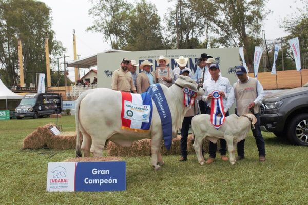 En la pista Brahman, Ganadera El Fogón logró la Gran Campeona de la Expo Ganadera