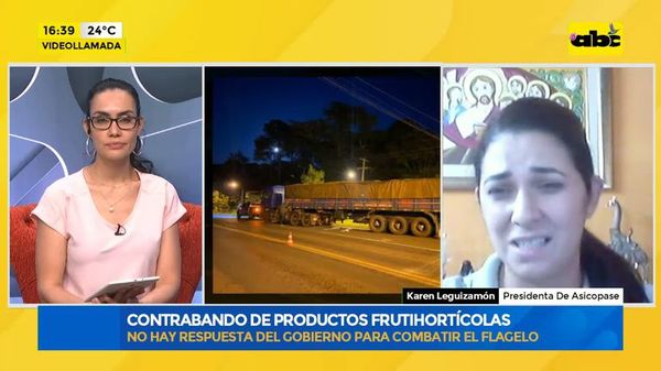 Contrabando de productos frutihortícolas: no hay respuesta del Gobierno para combatir el flagelo - Factor Clave - ABC Color