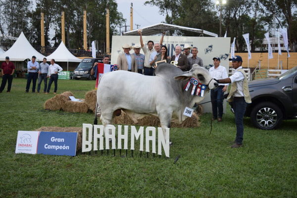 PAHSA logró el Gran Campéon Brahman y Neuland el Reservado
