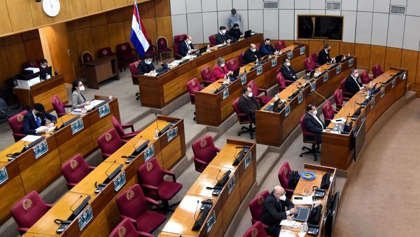 Senadores rechazan sacar subsidio a imputados por invasión