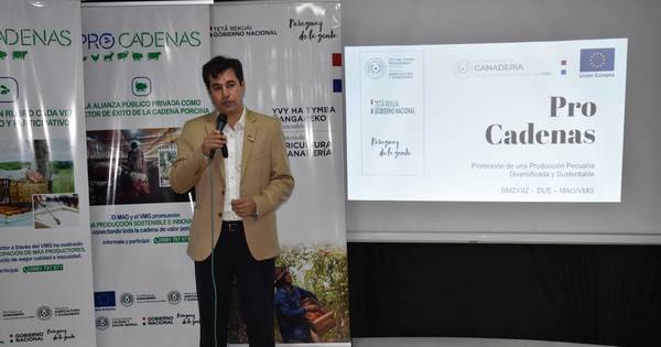 La Nación / Expo Ganadera: buscan apoyar a sectores mediante proyecto Procadenas