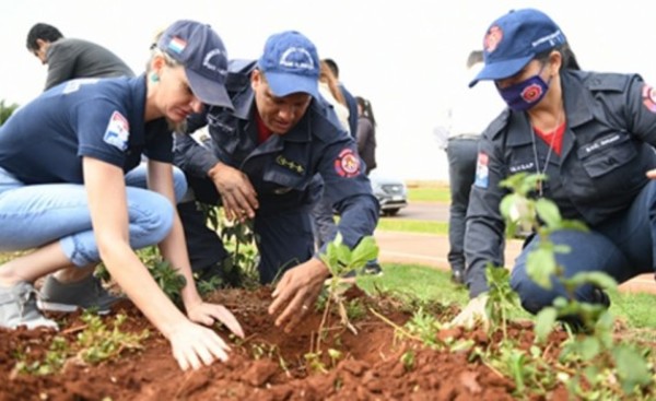 San Alberto se sumó a campaña de arborización