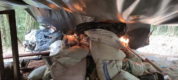 En operativo antidrogas incautan 6 toneladas de marihuana - ADN Digital