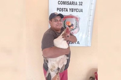 Crónica / Pato rescatado volvió sano y salvo a su casa