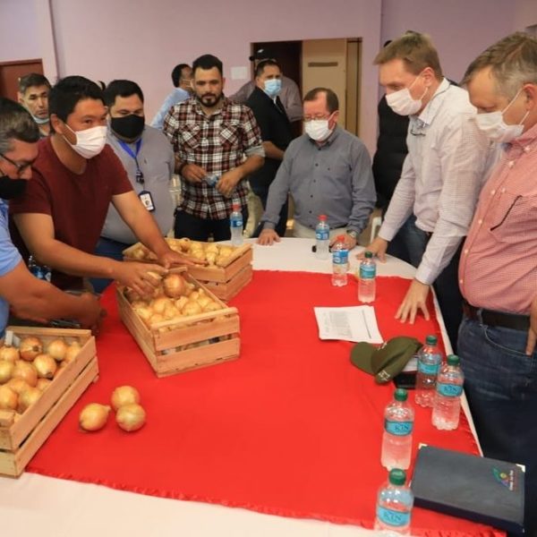 Productores de La Colmena acuerdan comercialización directa de cebolla en supermercados - ADN Digital