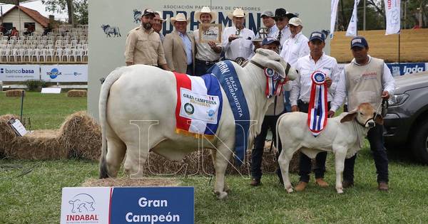 La Nación / Raza brahman expuso calidad de 40 expositores