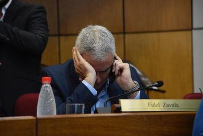 Fidel llama “gata Flora” a Desirée en debate de tierras mal habidas  - Nacionales - ABC Color