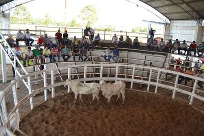 En un año, precios de carnes aumentaron 30% - Nacionales - ABC Color