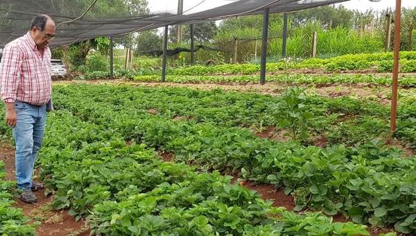 Organizaciones agroecológicas invitan a candidatos municipales a adherirse a las necesidades del sector