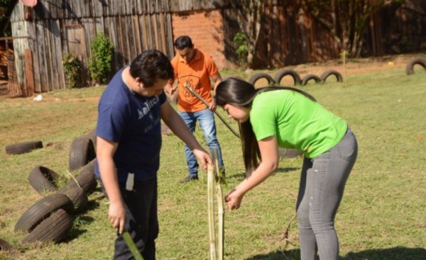 Municipalidad de CDE llega a la meta de plantar 5000 árboles