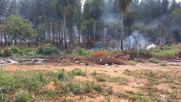 TRACTOR DE LA MUNI ARROJA DIARIAMENTE BASURAS EN EL CEMENTERIO - La Voz del Norte