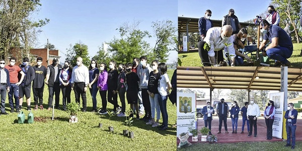 III EDICIÓN DE LA PLANTATON EN SIMULTANEO CON LOS DISTRITOS DE ITAPÚA.