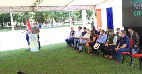 La Nación / Nueva campaña de soja: “En Paraguay, una buena cosecha significa un buen año económico”