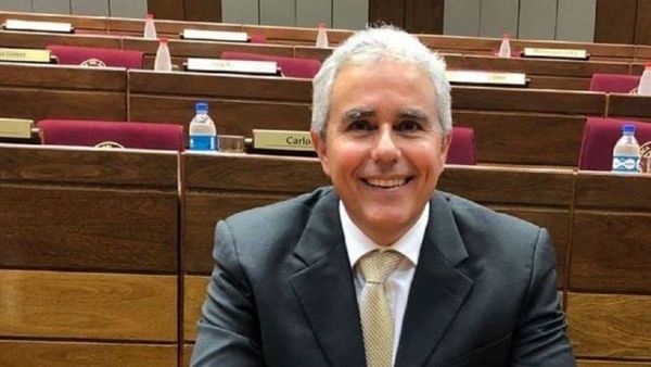 Polémica entre senadores: Zavala le dijo "gata flora" a Desirée Masi