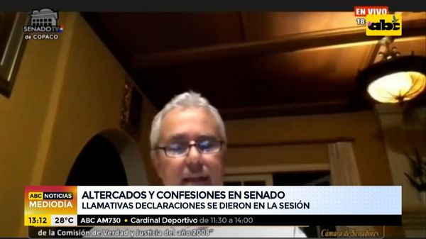 Altercados, confesiones e insultos en sesión del Senado - ABC Noticias - ABC Color