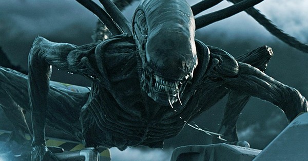 El insecto “extraterrestre”: así es el saltamontes brasileño que comparan con alienígenas de ciencia ficción - SNT