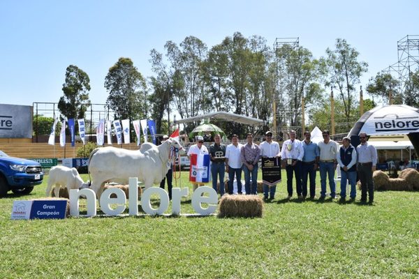 Goya se coronó con el Gran Campeón y Gran Campeona en Nelore mocho