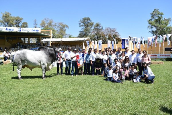 Ganadera Sofía logró el Gran Campeón y Estancia Don Mateo la Gran Campeona Nelore