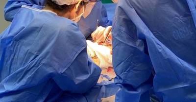 La Nación / IPS realizó con éxito primer trasplante renal pediátrico
