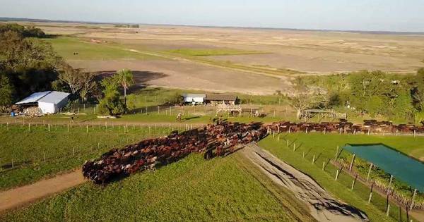 La Nación / El Paraíso Verde, emprendimiento que sigue cambiando el rostro de Caazapá