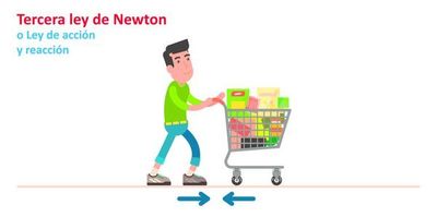 Tercera ley de Newton o ley de la acción y reacción - Escolar - ABC Color