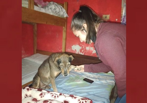 Crónica / UN TRISTE ADIÓS A “JÚNIOR”. Piden monumento para perrito