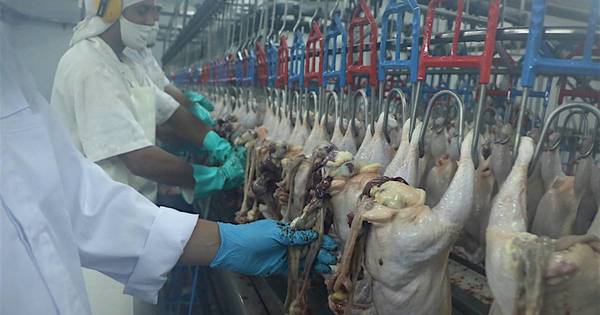 La Nación / “Cáncer del contrabando azota a nuestro querido Paraguay”
