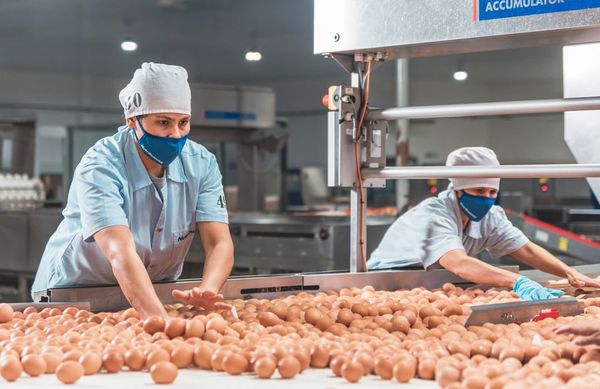 Nutrihuevos incrementará producción - Día del Avicultor 2021 - ABC Color