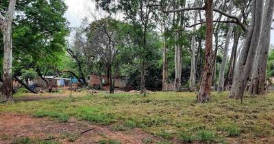 La Nación / Aumentar pena a invasores no busca blanquear tierras
