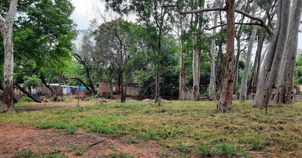 La Nación / Aumentar pena a invasores no busca blanquear tierras