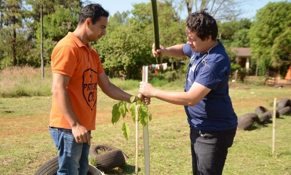 Municipalidad de Ciudad del Este llega a la meta de plantar 5000 árboles en sitios públicos – Diario TNPRESS