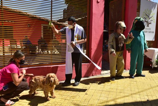 Con disfraces y alegría, ofrecen bendición de mascotas en hogar de ancianos - Nacionales - ABC Color