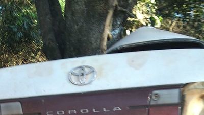 Un conductor fallece tras chocar contra un árbol en Itakyry