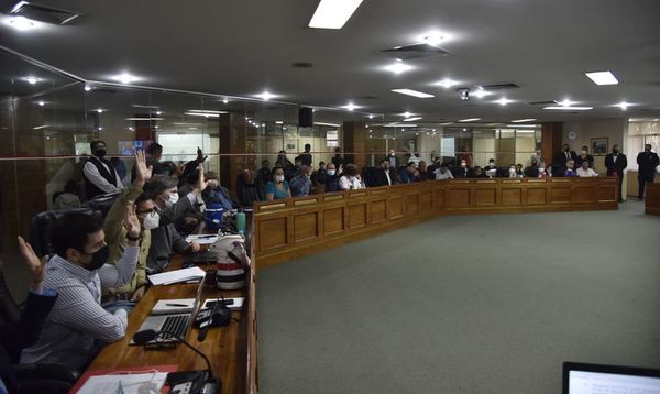 Aumento salarial: Blasco anuncia defensa ante acción judicial del intendente Ojeda - Nacionales - ABC Color