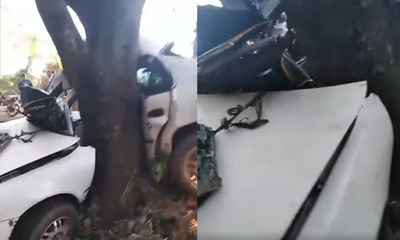 Conductor fallece tras chocar contra un árbol en Alto Paraná - OviedoPress
