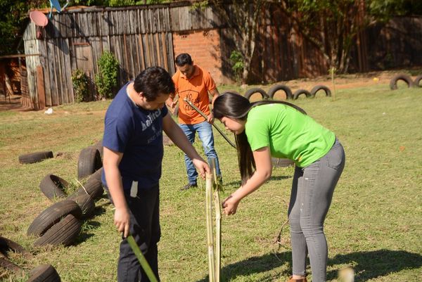 Municipalidad llega a la meta de plantar 5.000 árboles en CDE - La Clave