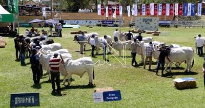 La Nación / Evaluaron trabajo de cabañas en competencia de mejor conjunto