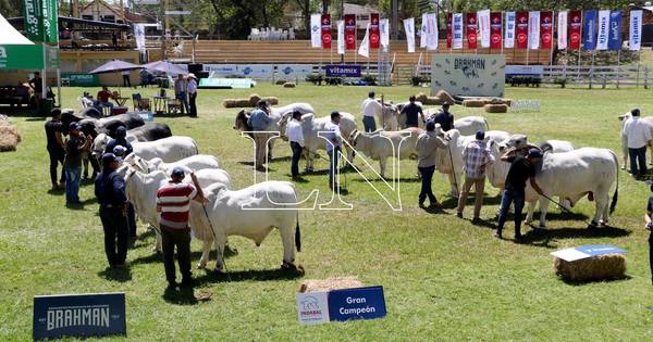 La Nación / Evaluaron trabajo de cabañas en competencia de mejor conjunto