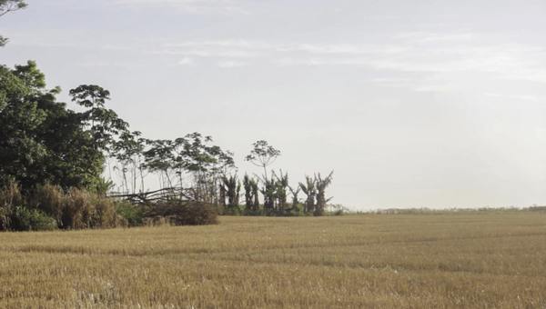 Documental paraguayo será debatido en Conferencia de Antropología de Alemania | Ñanduti